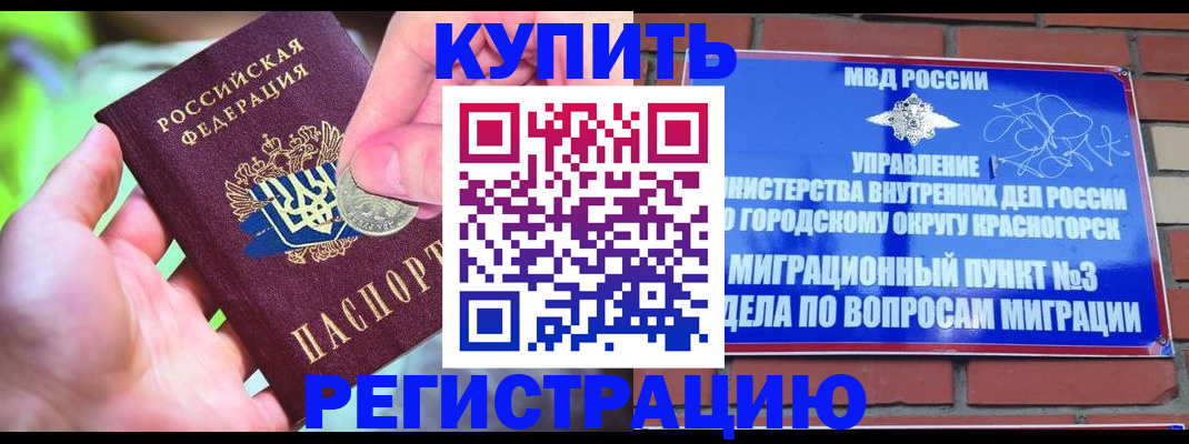 прописка законно в Курске